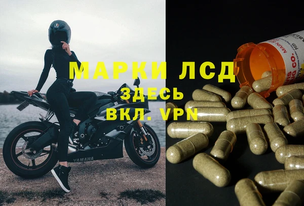 эйфоретик Алексеевка