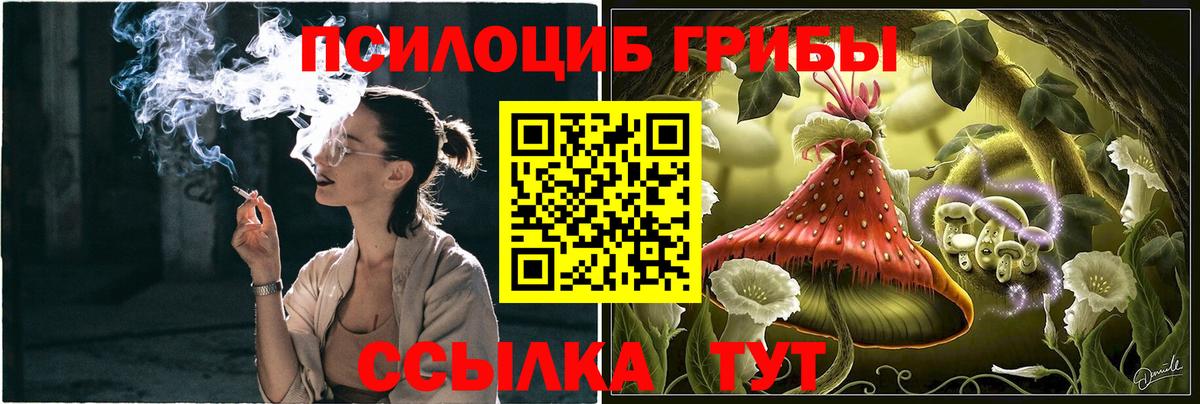 купить   Галлюциногенные грибы GOLDEN TEACHER  Вход с VPN  Набережные Челны 